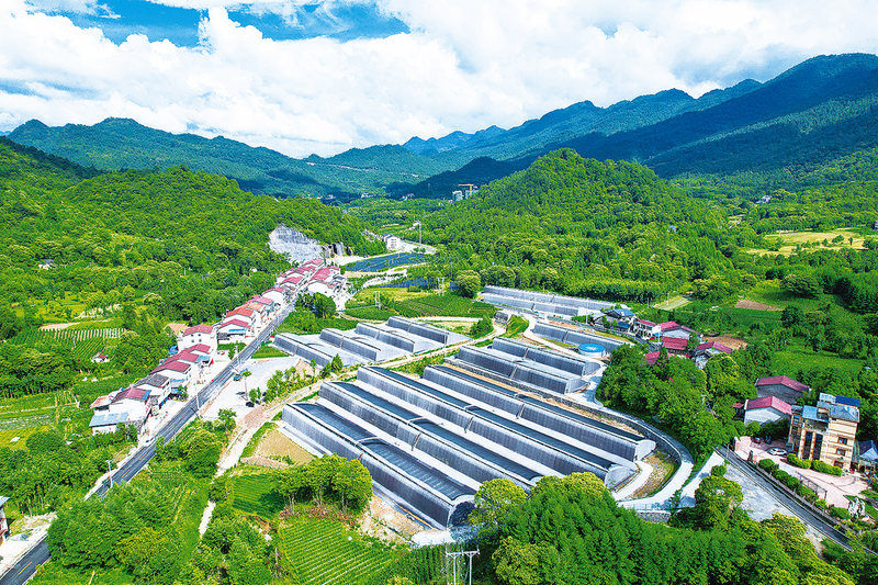 鲁渝(寿光)蔬菜现代产业园马营基地。通讯员 邱洪波 摄/视觉开州.png