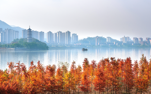 重庆市开州区南门镇人民政府