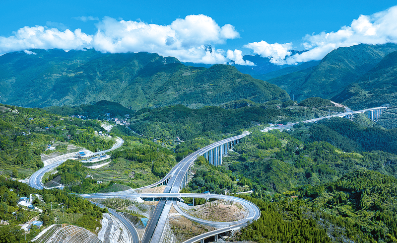 图片_img_189_902_442_271.png